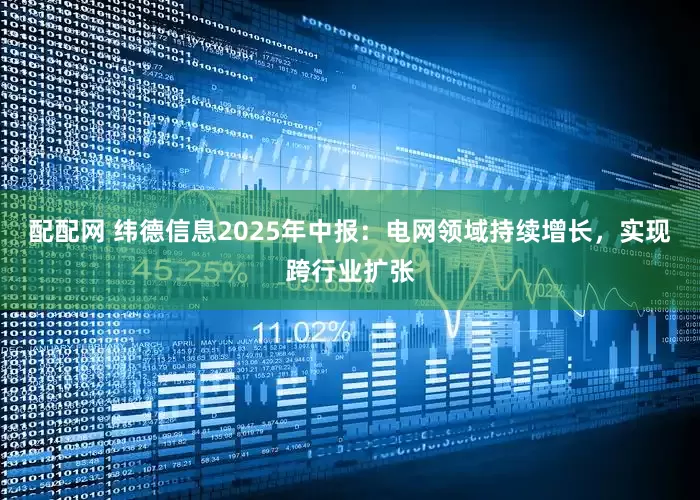 配配网 纬德信息2025年中报：电网领域持续增长，实现跨行业扩张